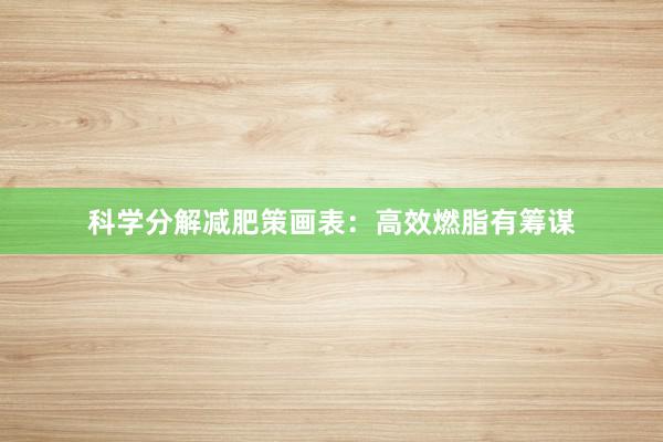 科学分解减肥策画表：高效燃脂有筹谋